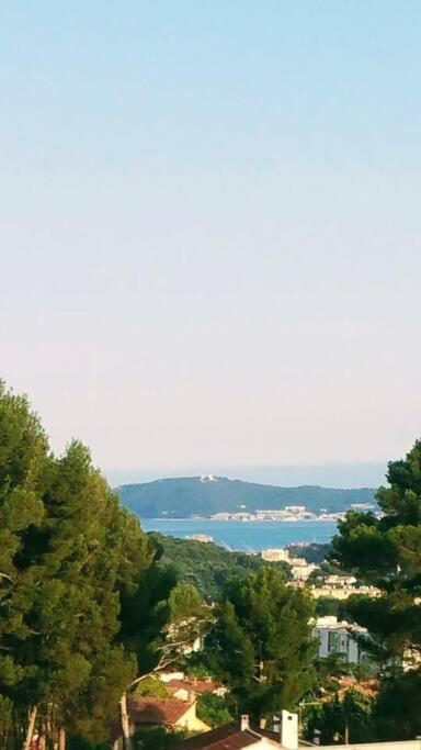 Villa Contemporaine F5 Cote Azur Ollioules Calme Buitenkant foto