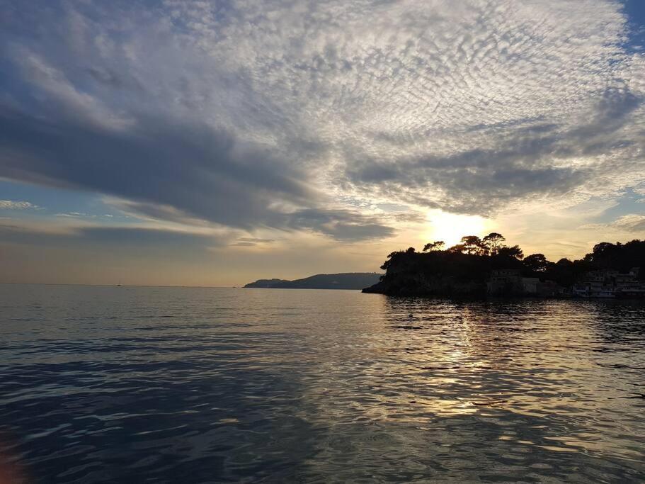 Villa Contemporaine F5 Cote Azur Ollioules Calme Buitenkant foto
