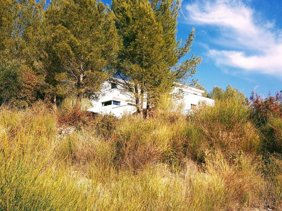 Villa Contemporaine F5 Cote Azur Ollioules Calme Buitenkant foto